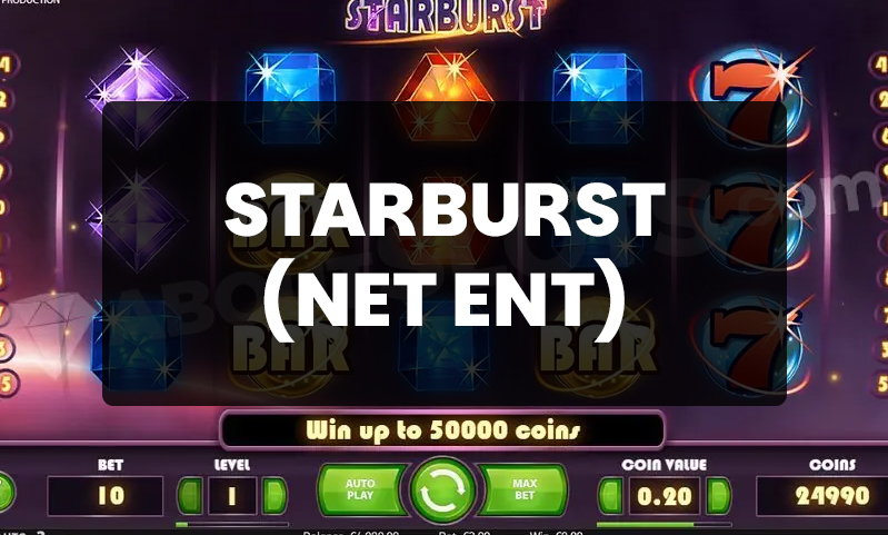 Starburst Net Ent